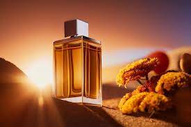 Discover and assert your olfactory identity with Parfum Sililaire: find your ideal men's perfume for every day among our equivalents